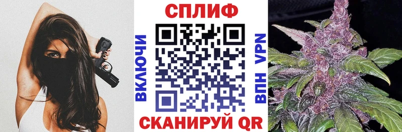 Псилоцибиновые грибы Бронницы